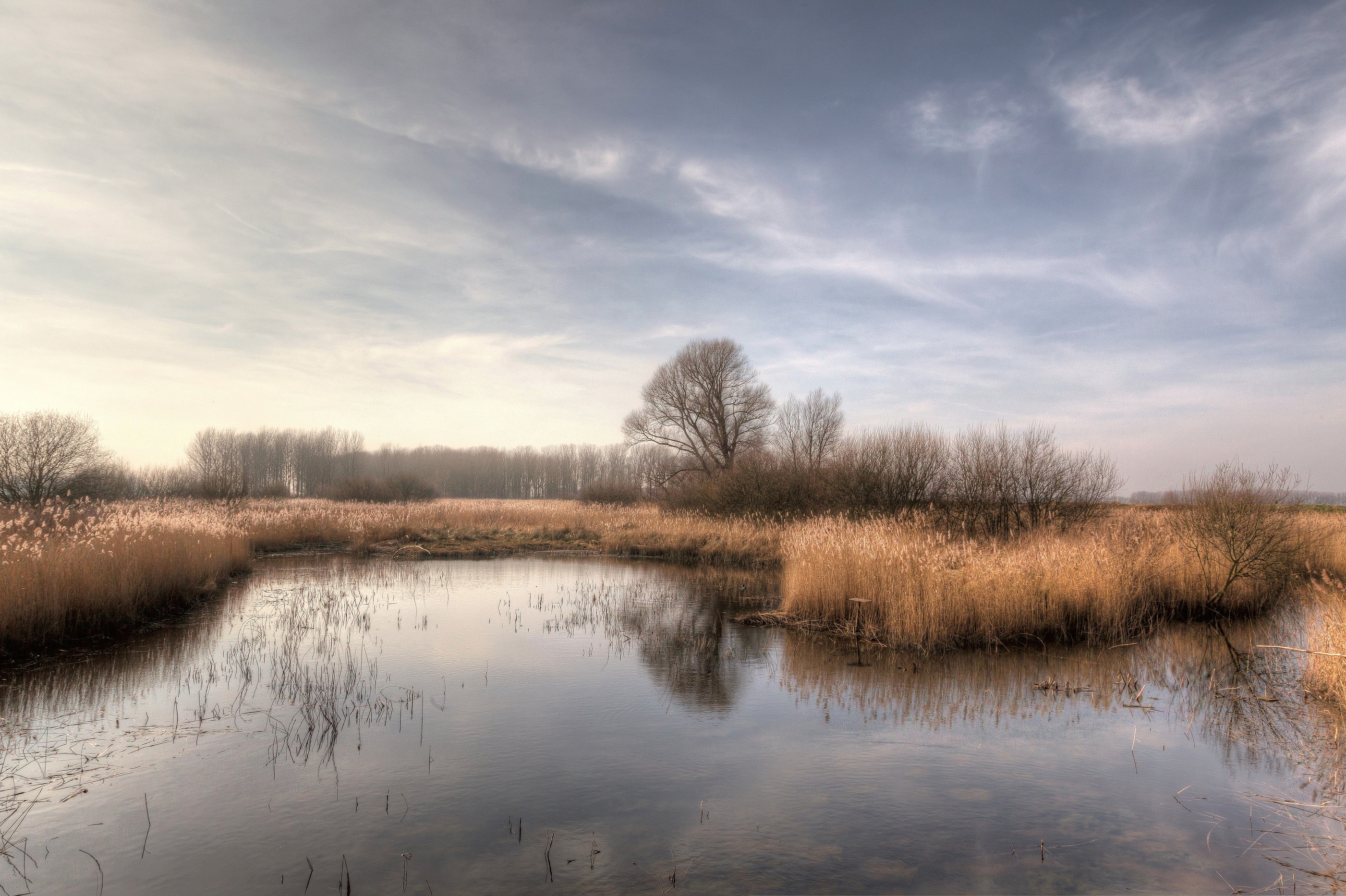 Brecks Fen Edge and Rivers Landscape Partnership Scheme (BFER)