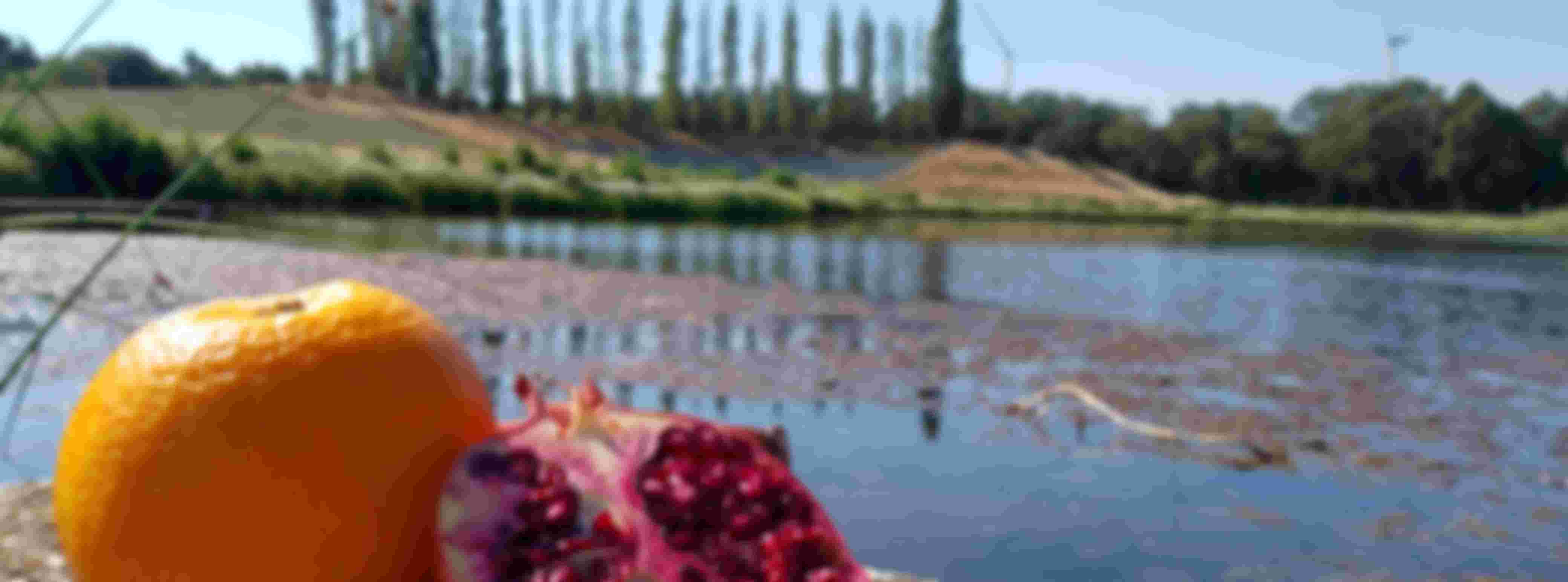 Maastricht Universiteit Campus Venlo