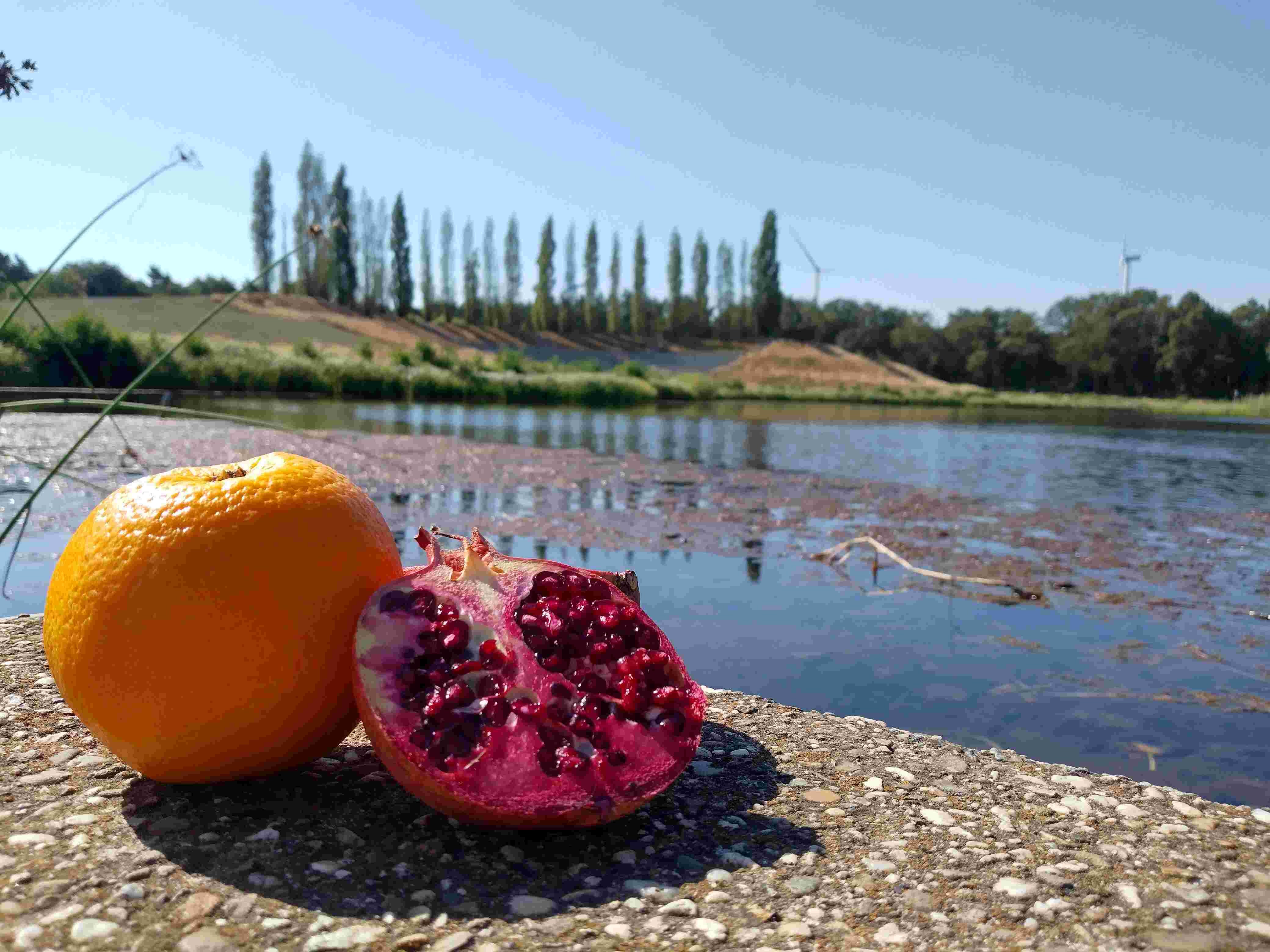 Maastricht Universiteit Campus Venlo