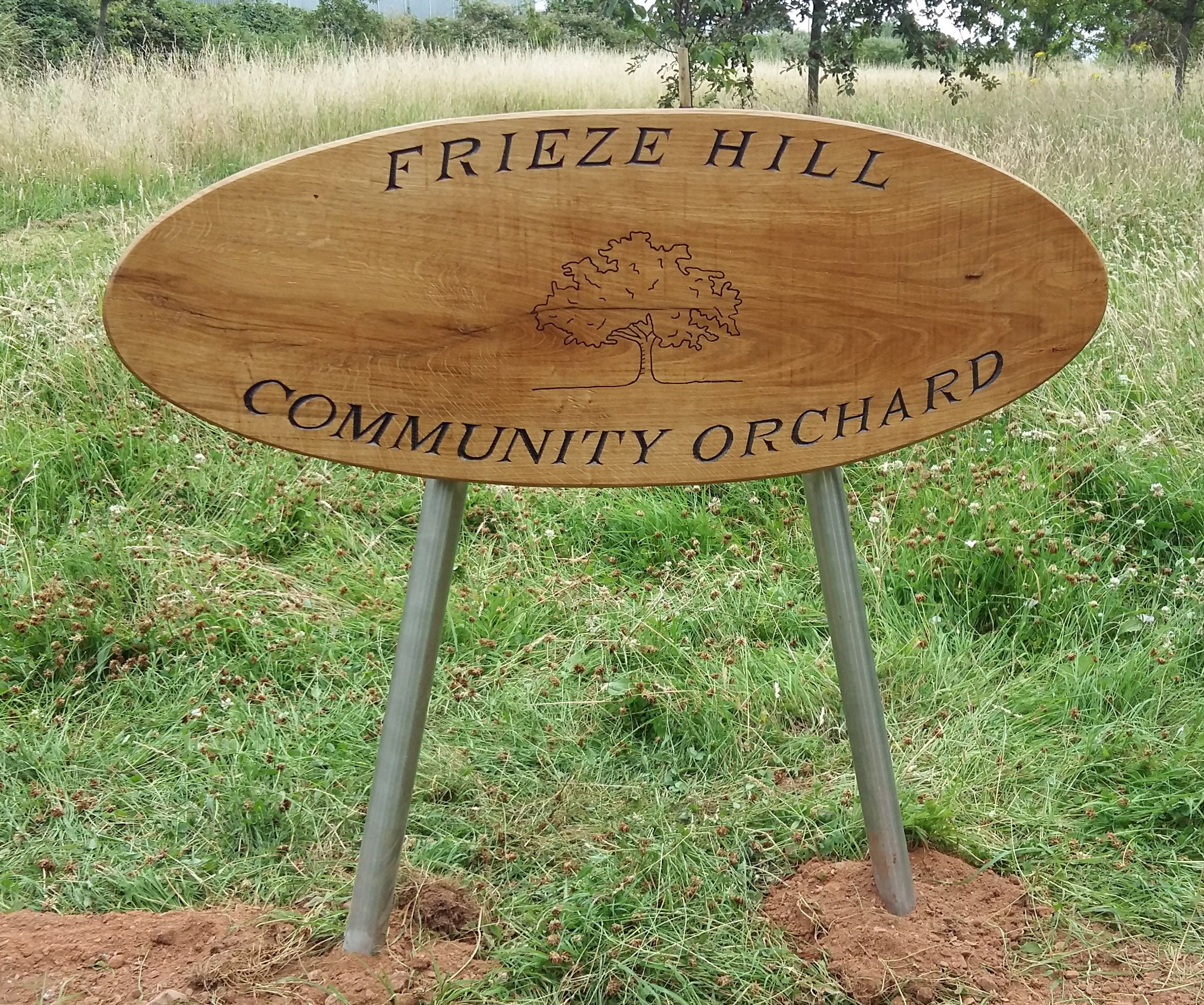 Frieze Hill Community Orchard