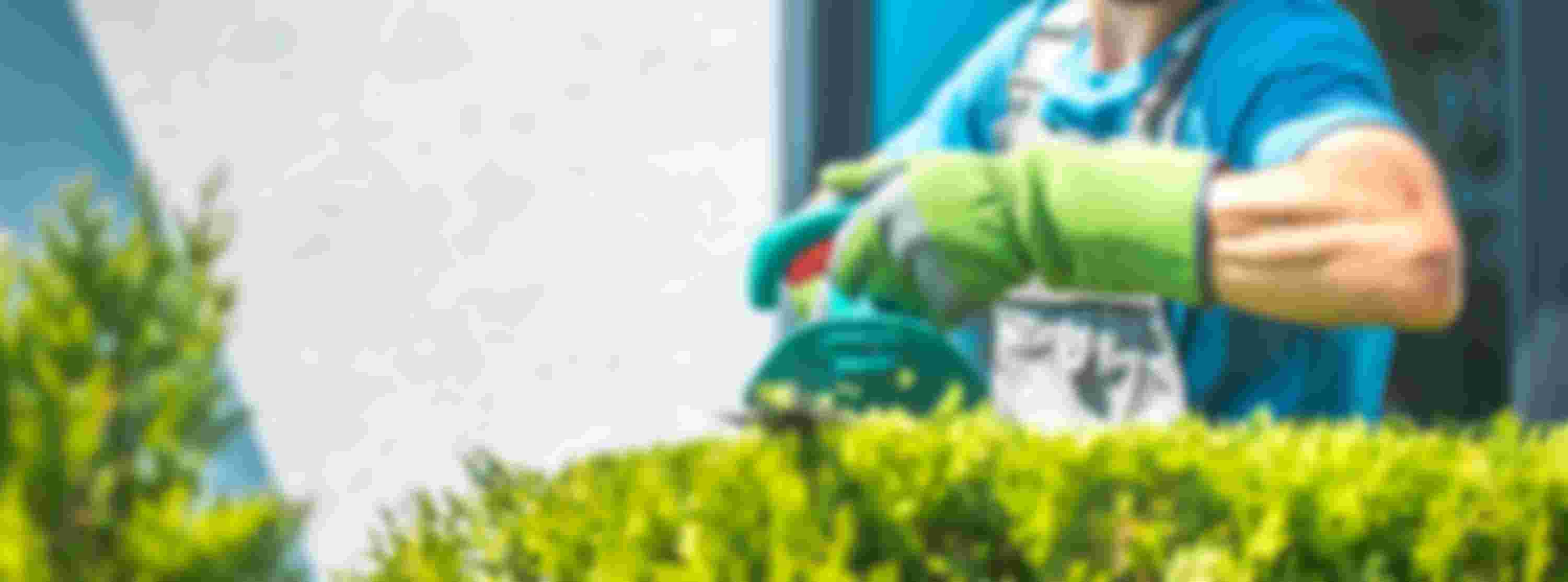 Versa Welzijn Vrijwillige Thuishulp ~ Praktische klussen in de BEL