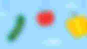 Vrijwilliger coördinator