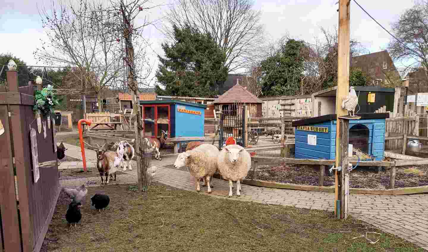 Stichting De Knuffelweide Amerongen