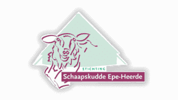 Schaapskudde Epe-Heerde