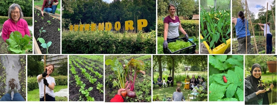 Wil jij ons helpen groenten te telen voor de voedselbank?