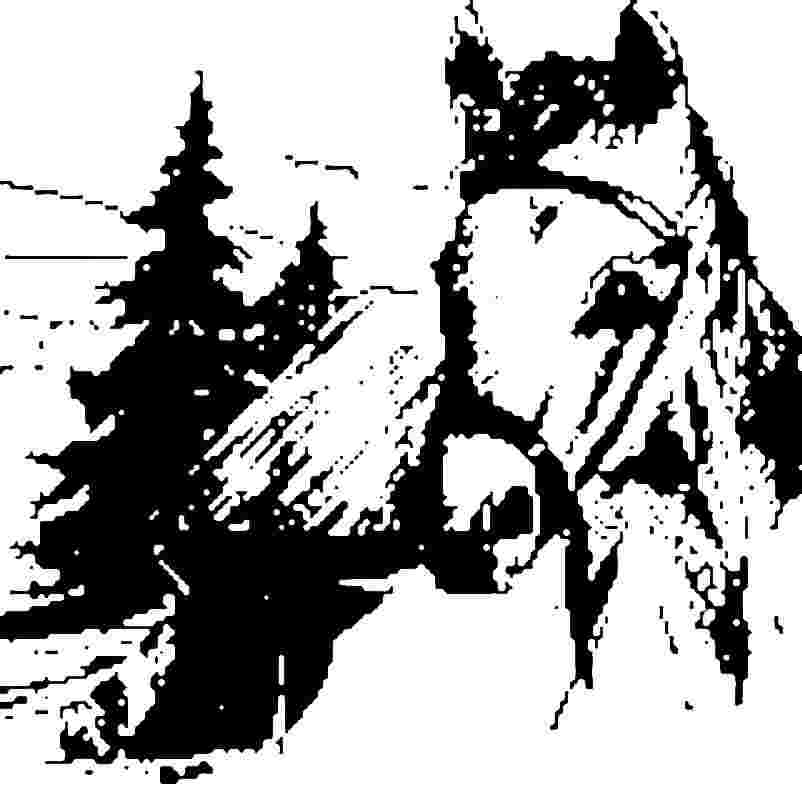 De Schaapskooiruiters