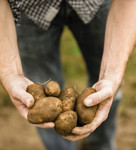 Cheltenham Is Growing