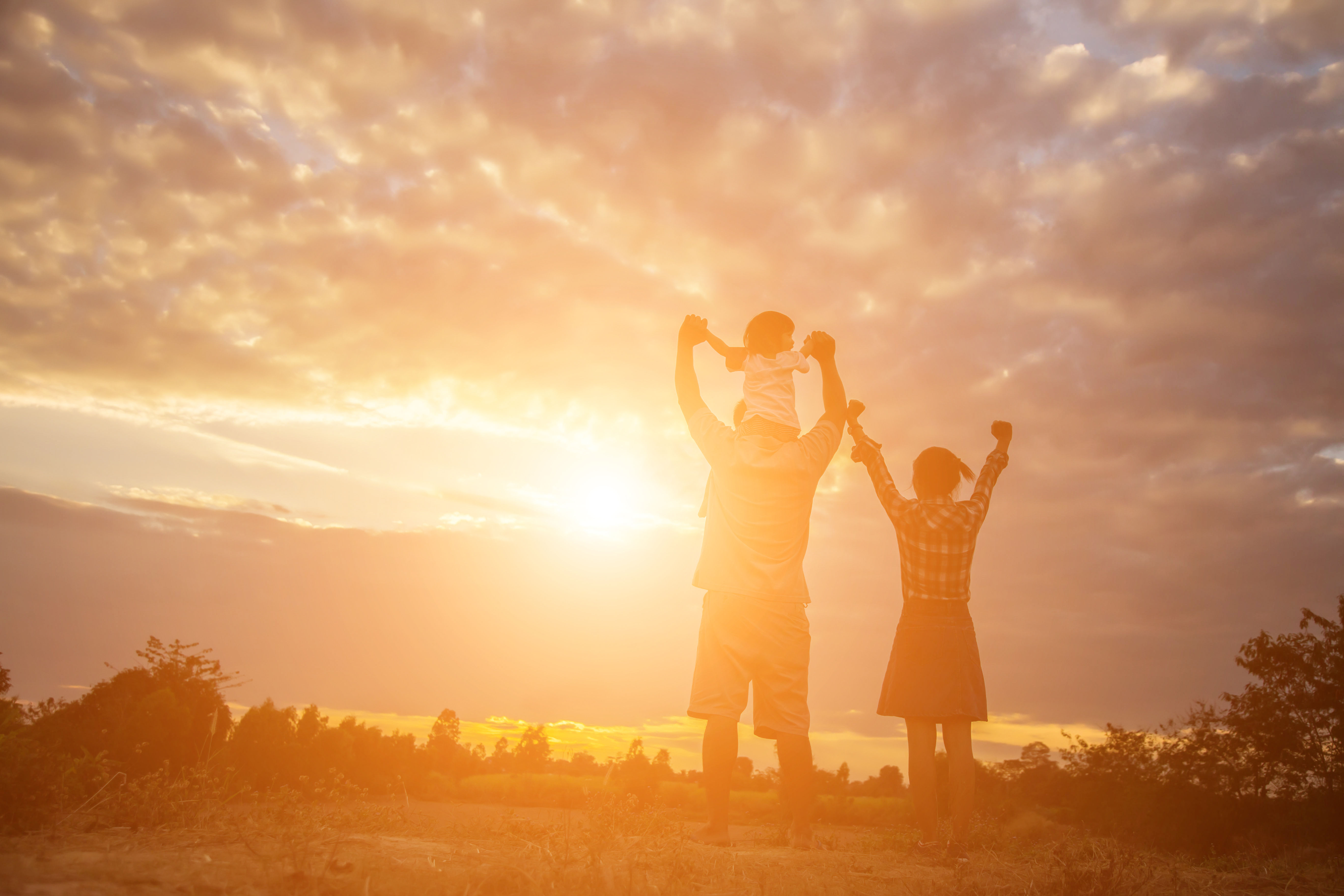 Groene Kruis Ledenorganisatie