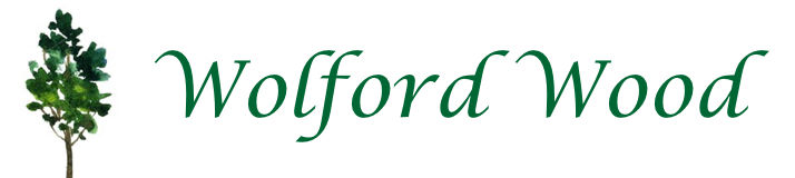 Wolford Wood