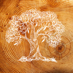 Stichting Mens op Aarde