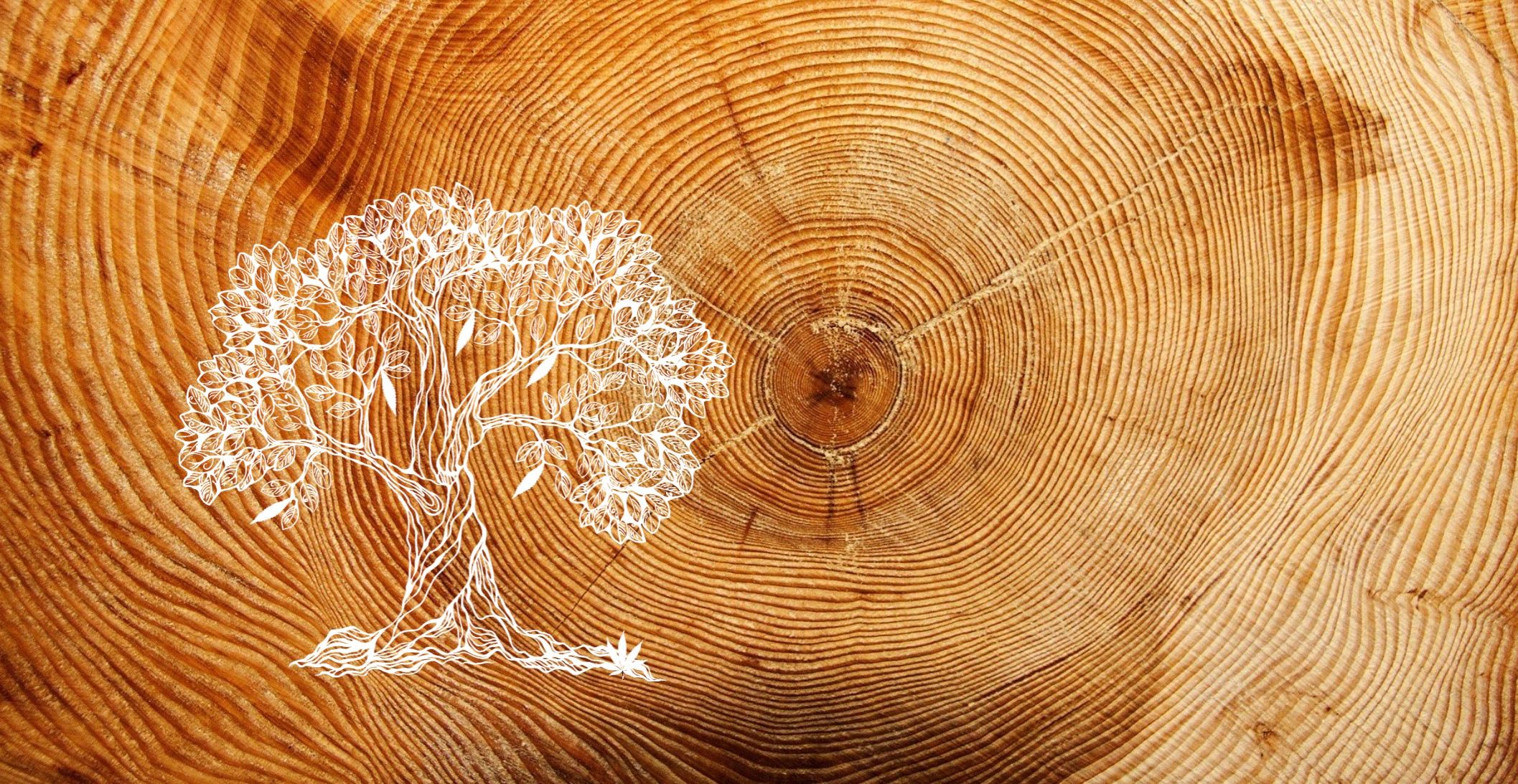 Stichting Mens op Aarde