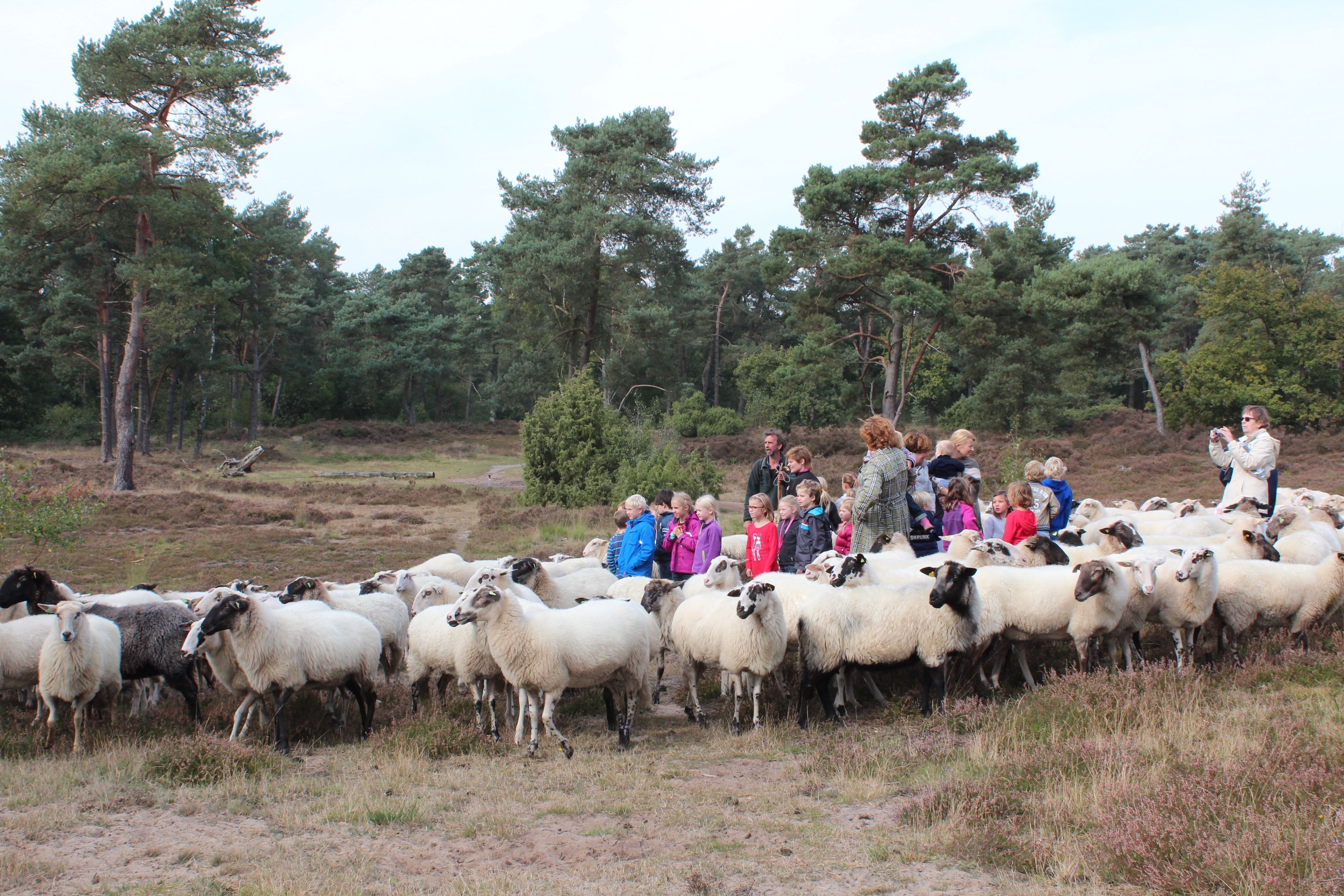 Natuuractiviteiten voor kinderen tussen 4-11 jaar in Maarn Maarsbergen