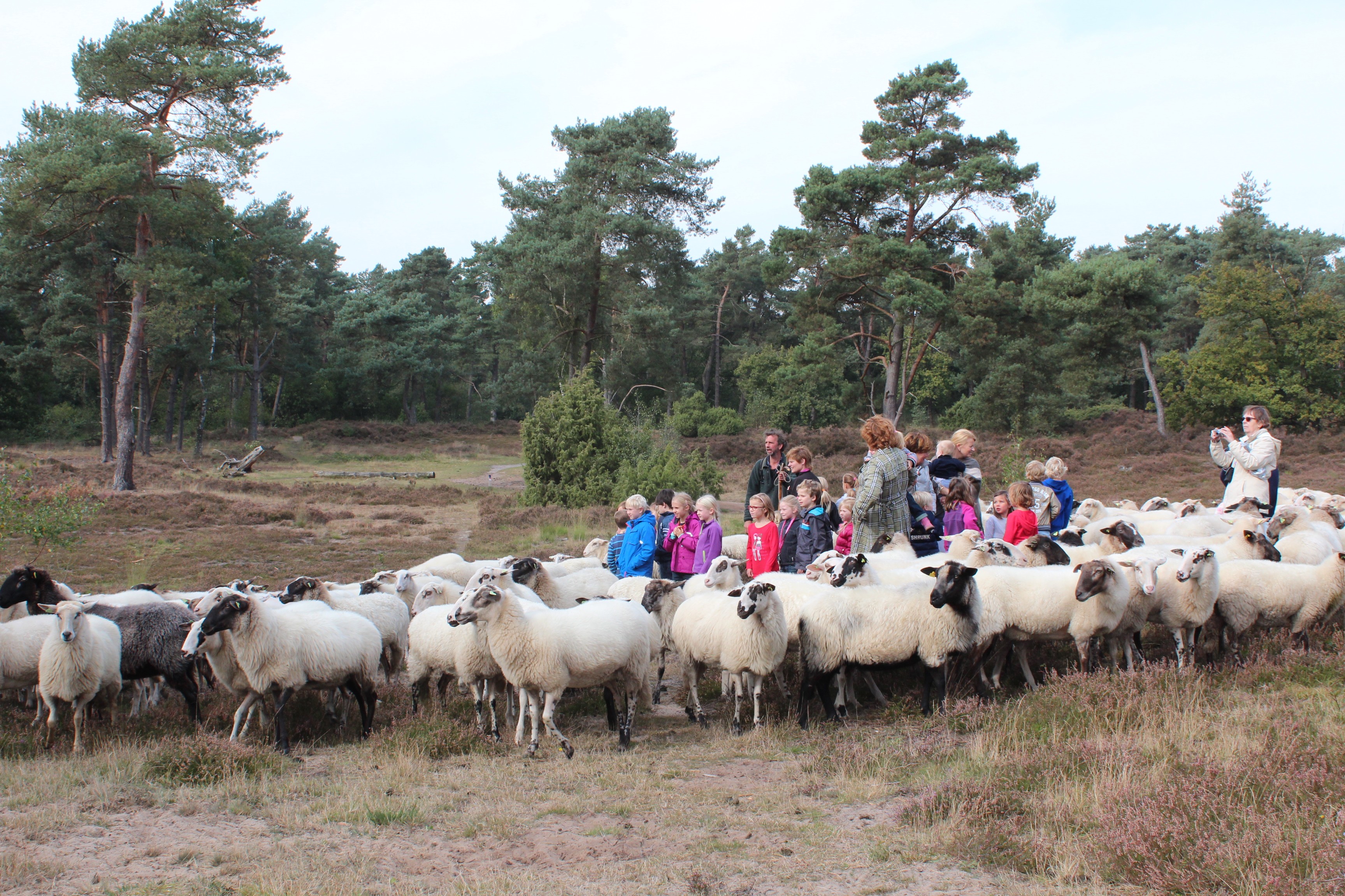 Natuuractiviteiten voor kinderen tussen 4-11 jaar in Maarn Maarsbergen