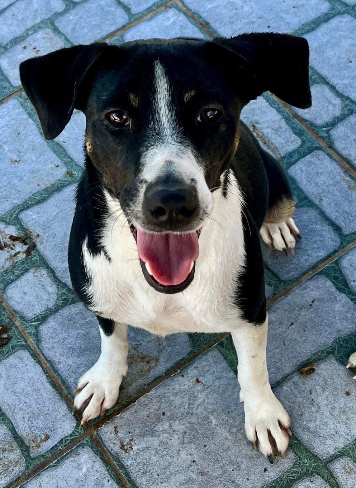 Luna foundation Aruba