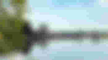 Zwemlust zoekt Toezichthouders