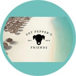 Sgt. Pepper’s Friends