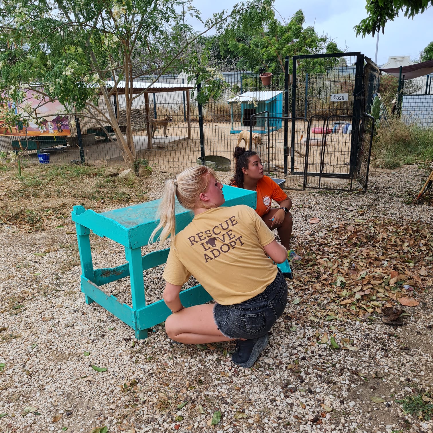 Sgt. Pepper’s Friends