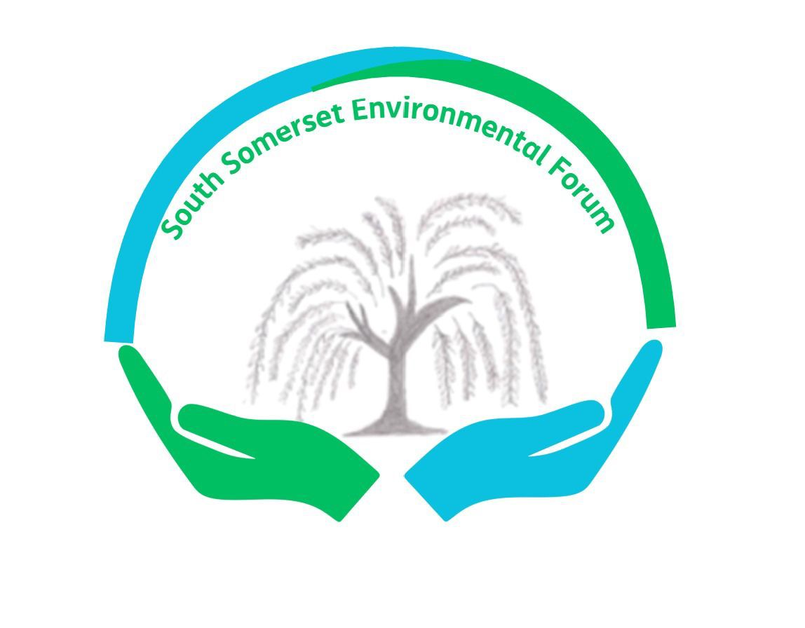 South Somerset Environmental Forum