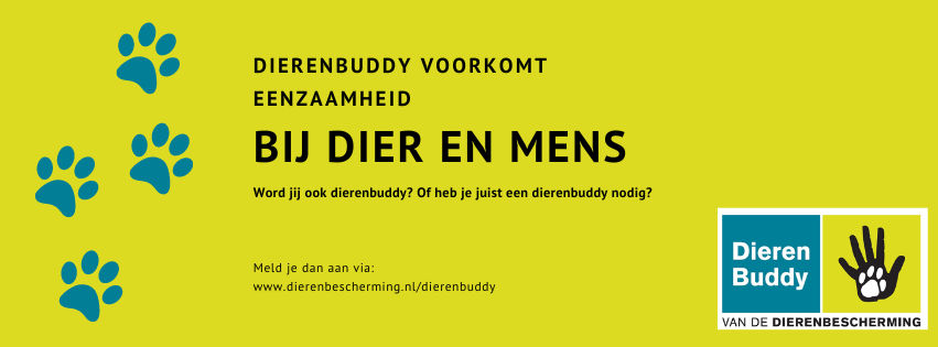 Dierenbuddy - Dierenbescherming