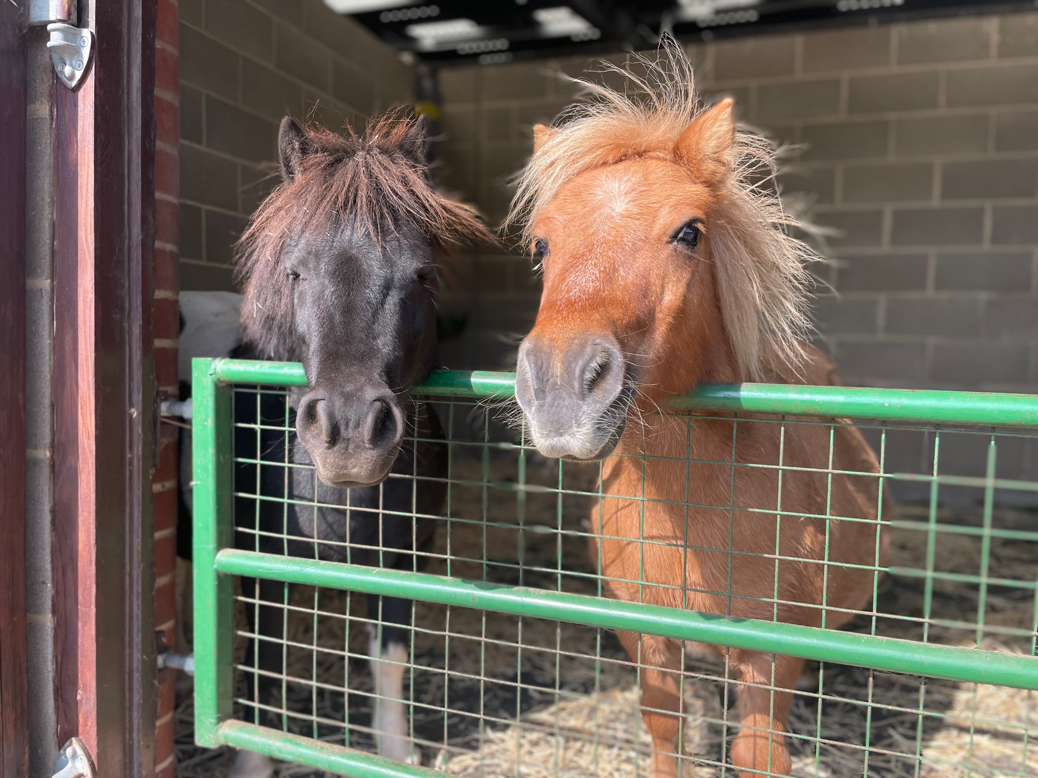 Visitor Centre Volunteers