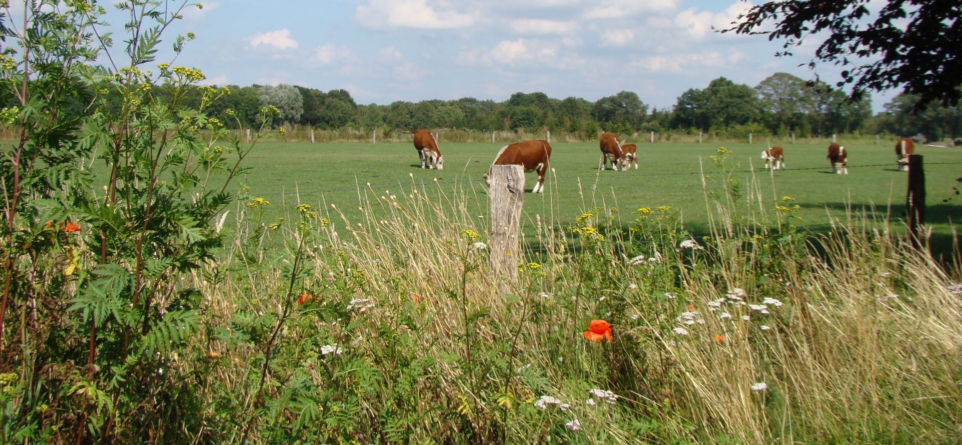 Zorgboerderij Klein Exterkate