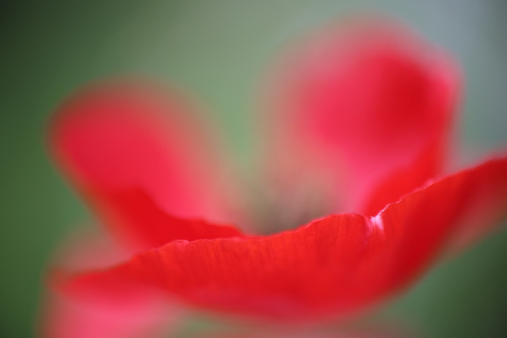 TEST Verkeersregelaars