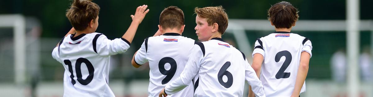 Voetbal Vereniging Maarssen