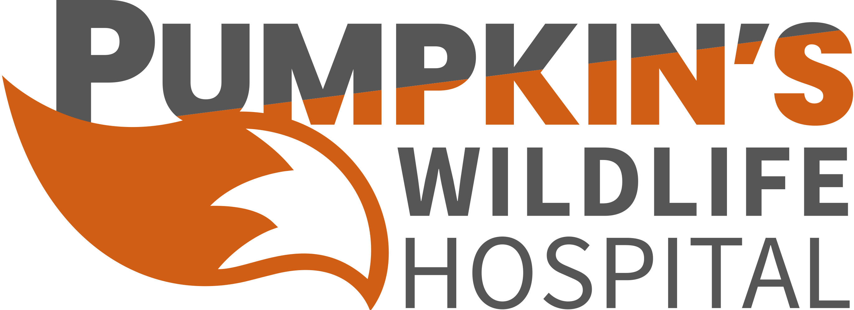 Pumpkins Wildlife Hospital