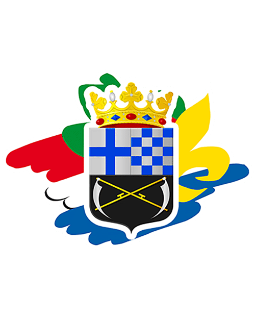 Scouting Gold`n Zende Nieuwleusen