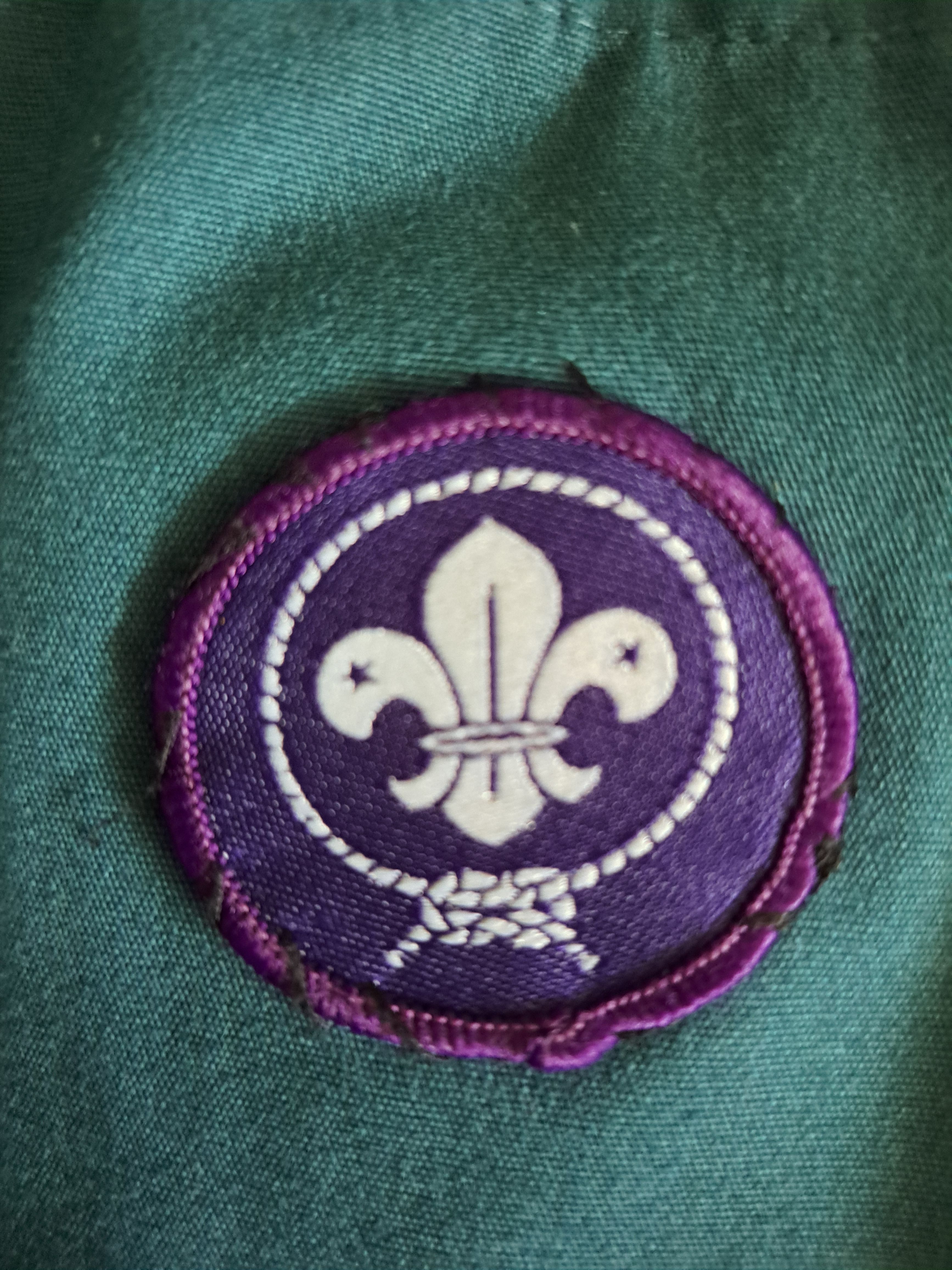 3rd Thetford scout group
