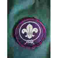 3rd Thetford scout group