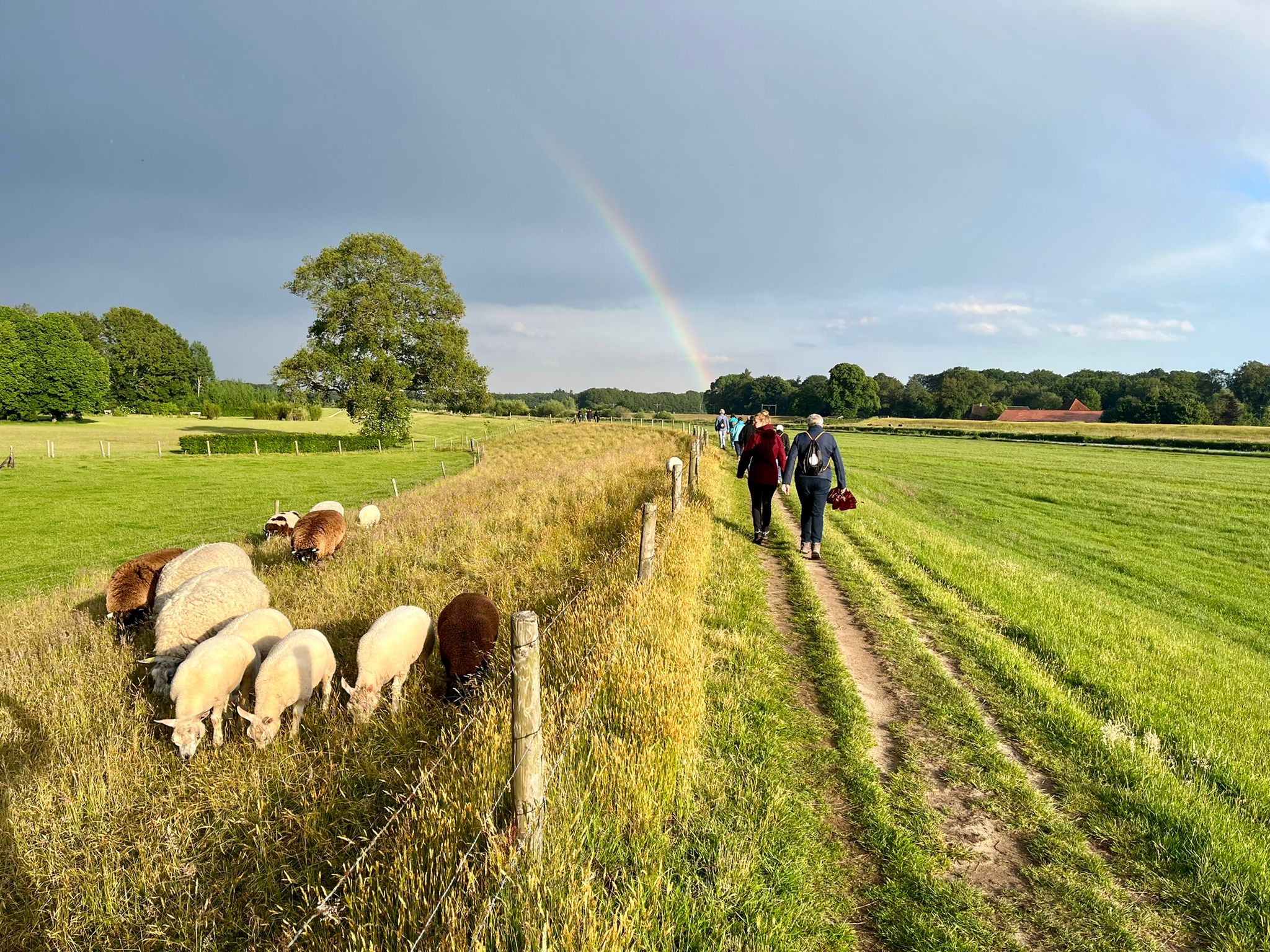 Vitaal Vechtdal Challenge