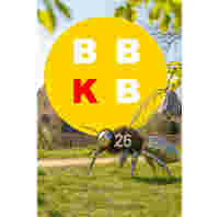 Baakse Beek Kunst Biënnale