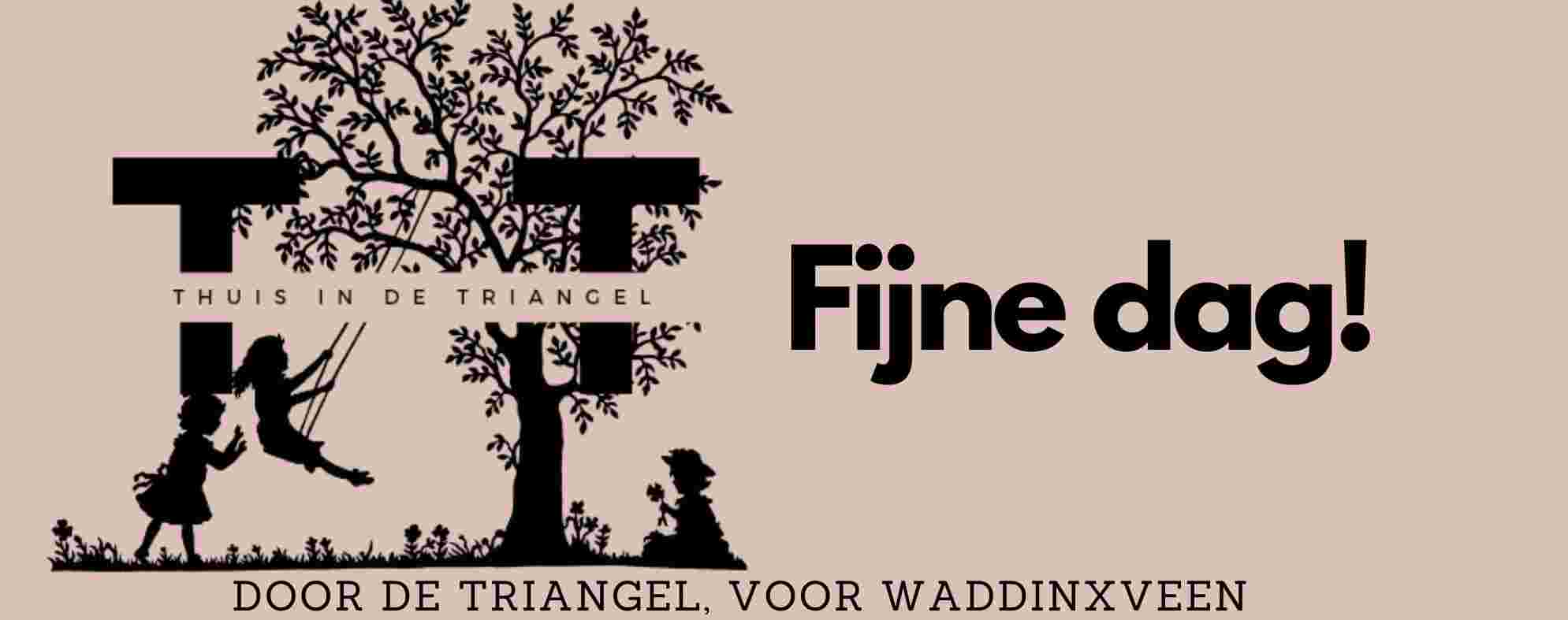 Stichting Thuis in de Triangel