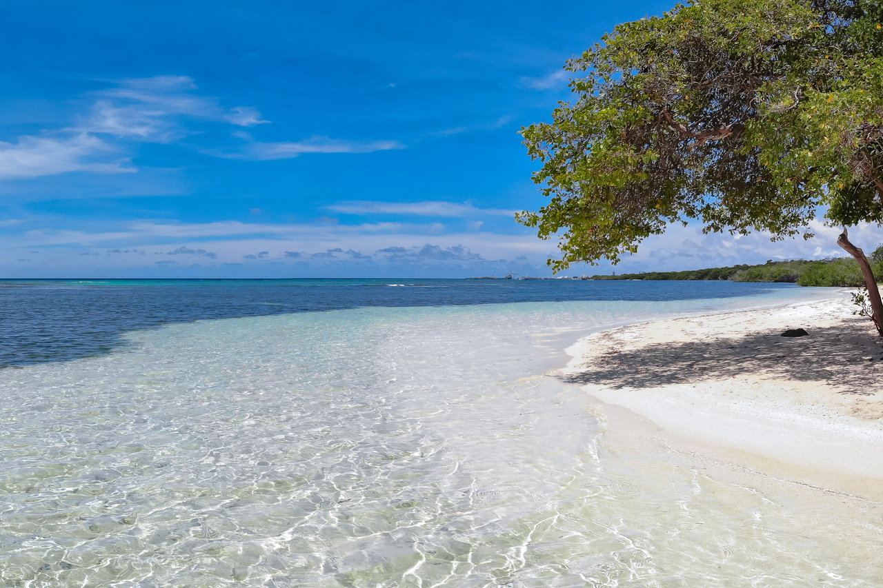 Fundacion Savaneta Prome Capital