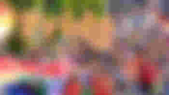 🌈 Vrijwillig Fondsenwerver Pride The Hague 2025 🌈