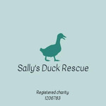 Sallys Duck Rescue