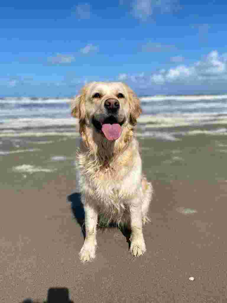 Algemeen bestuurslid die het verschil wil maken!