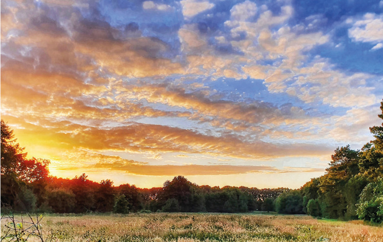 Landschapsbeheer Groningen