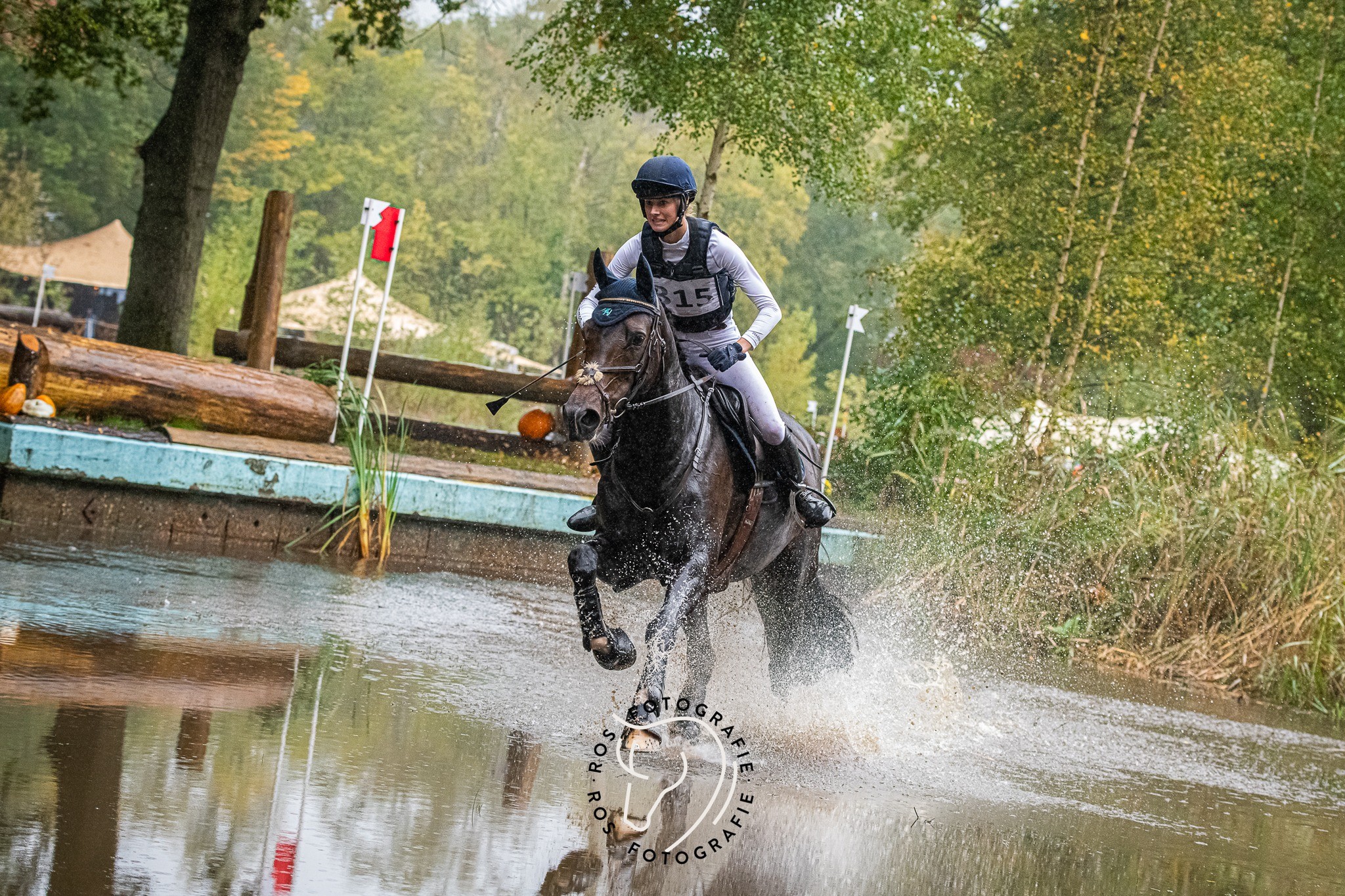 Hippisch Hattem Paardencross
