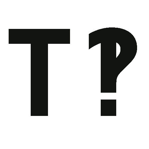 Stichting Thick Present