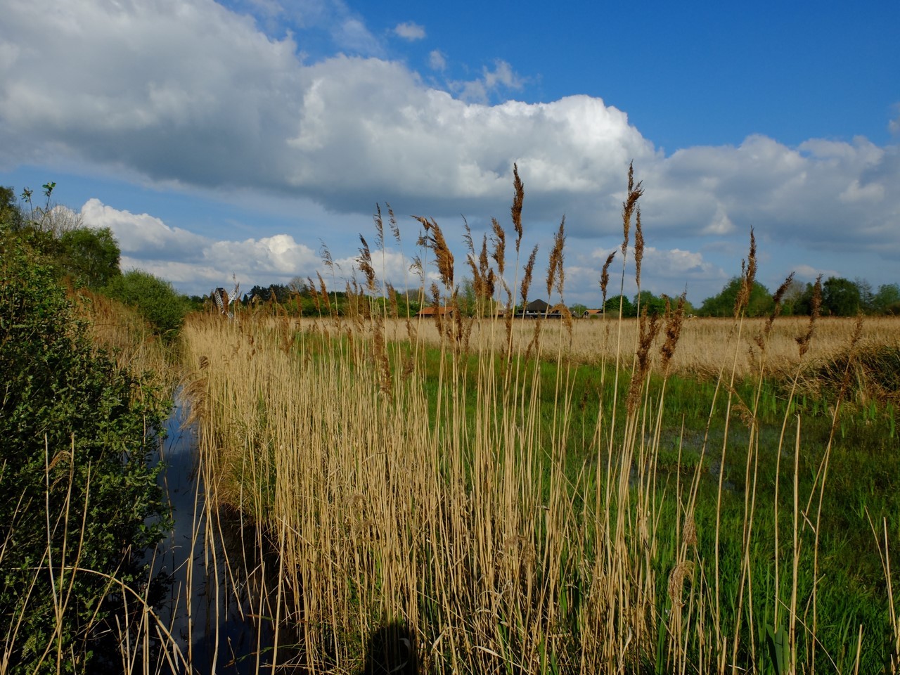 CPRE Cambridgeshire and Peterborough