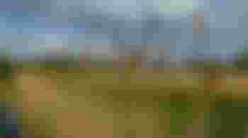 Chair, CPRE Cambridgeshire and Peterborough