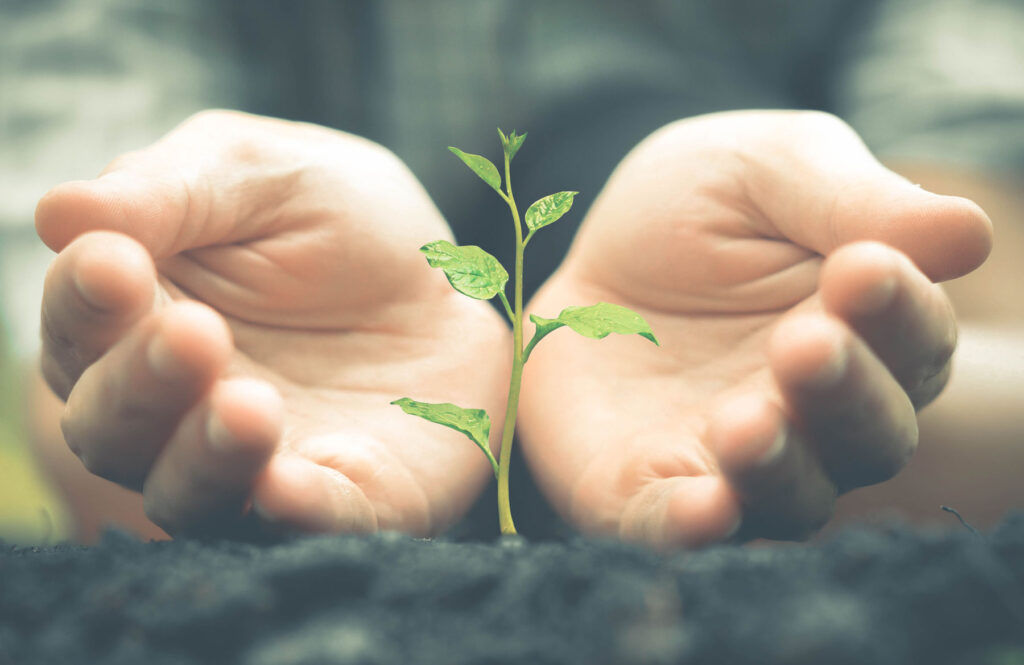 Listening Post Trustee