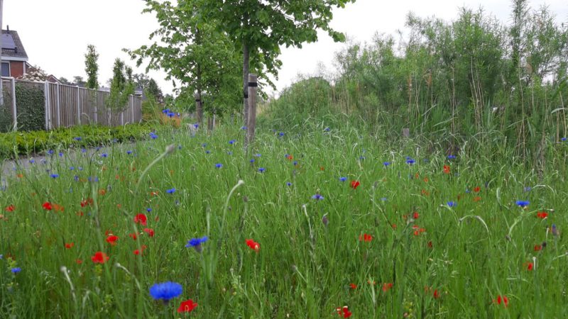 Groene Loper Hof van Twente