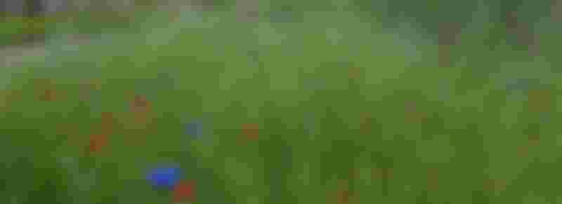 Groene Loper Hof van Twente