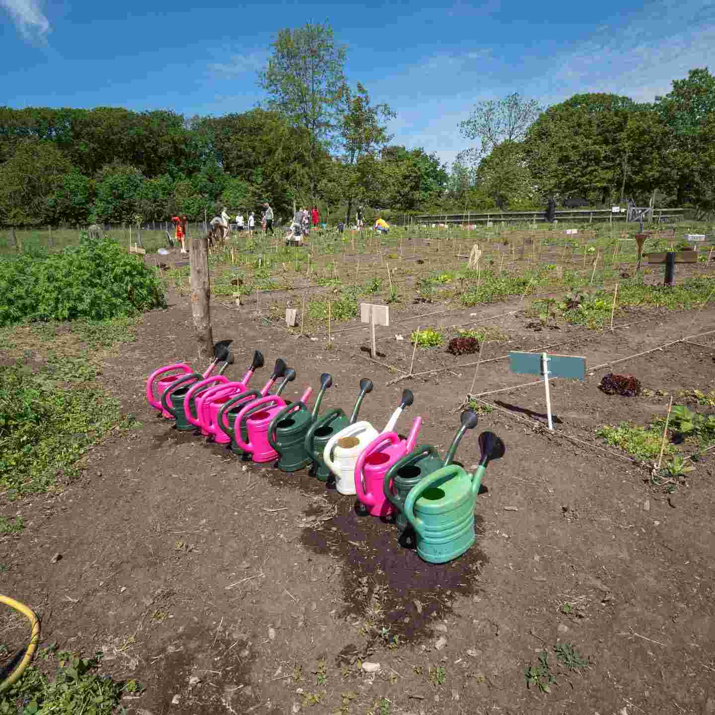 Stichting Schooltuinen Deventer