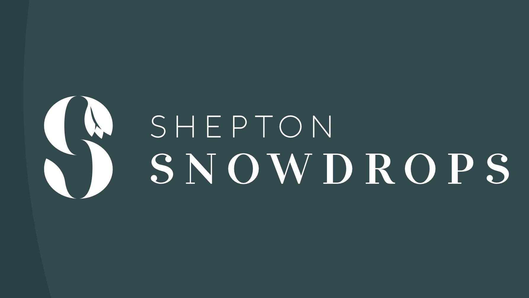 Shepton Mallet Snowdrop Festival