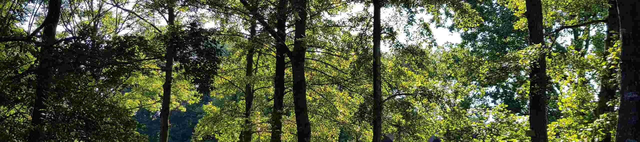 Stichting Ecotopisch Leven