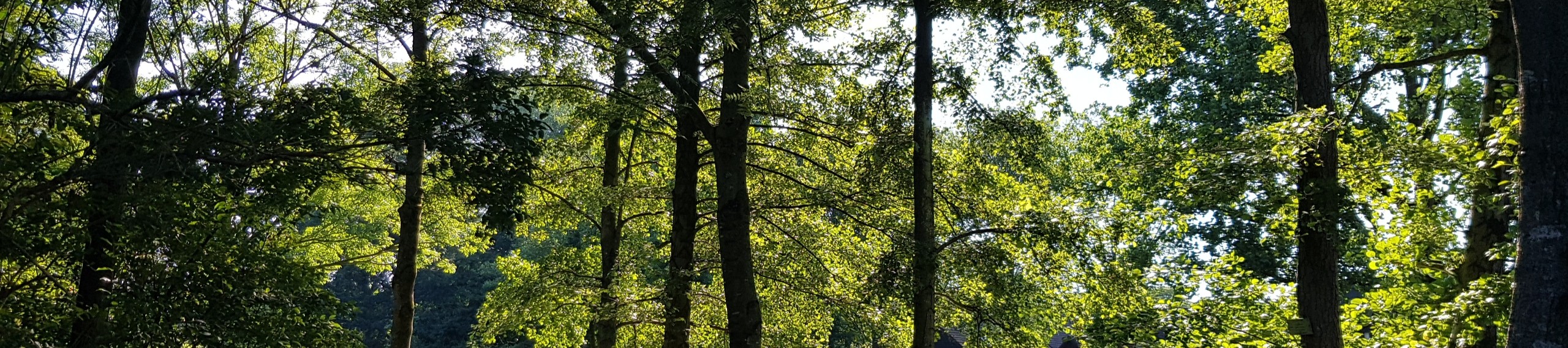 Stichting Ecotopisch Leven